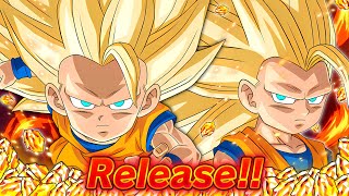 HOW MANY SUMMON TICKETS!? DAIMA SSJ3 MINI GOKU SUMMONS! (Dokkan Battle)