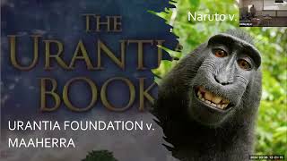 IP Issues in AI Litigation