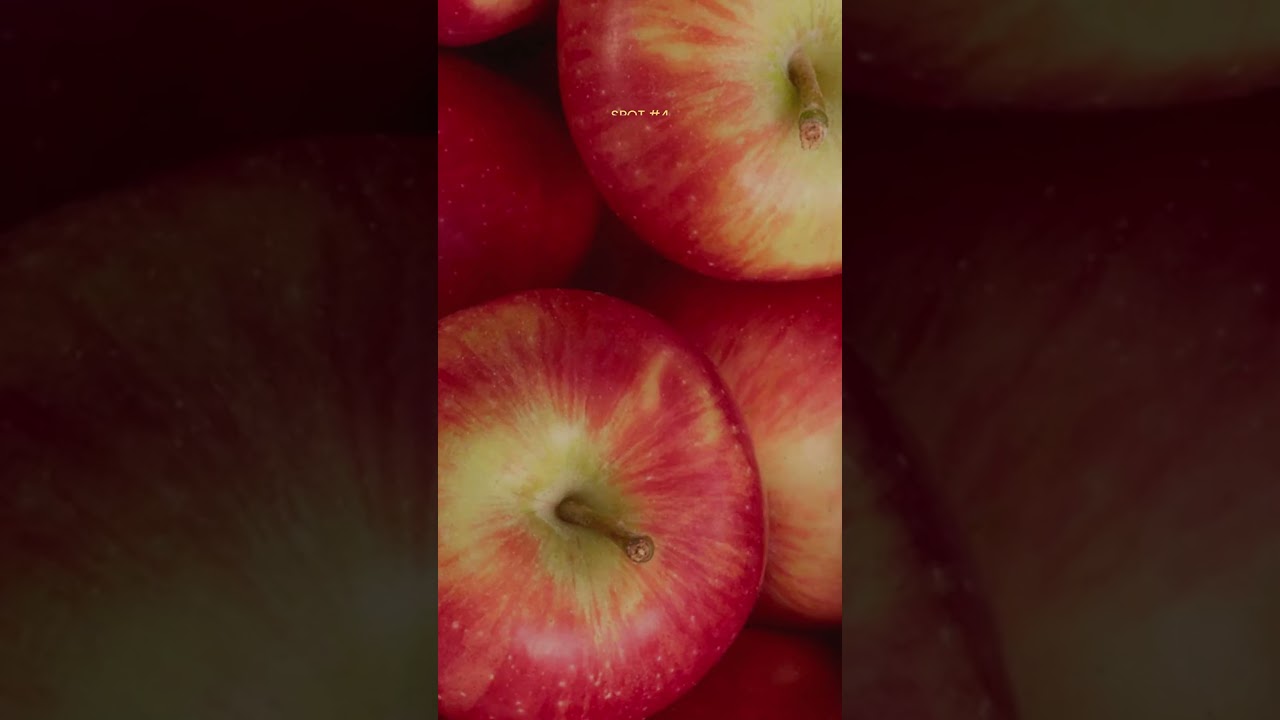 Favorite Spots to Take Holiday Photos Around Dayton, Ohio