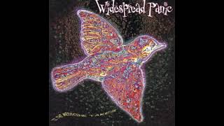 View Widespread Panic - Travelin' Light Live Performance in Camden