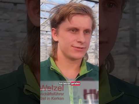 Sie erzählen Dir warum meine Interviews mehr ist als nur Standard sind #effizienz #interview