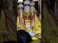 #baglamukhi#jaimatadi #matarani#india #nalkheda #indore #viral#shorts#video #vlog#viralvideo#sanatan