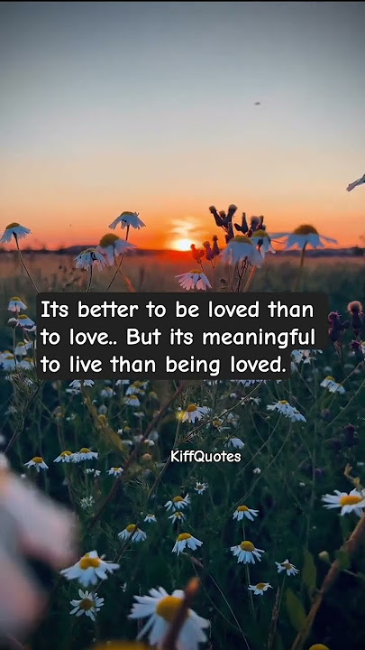Which is Better Love or Loved 026 #kiffquotes  #relationshiprule #relationshipgoals #beautfull
