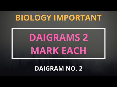 HSC 2018 BIOLOGY IMPORTANT QUESTION | 3 marks question no. 2