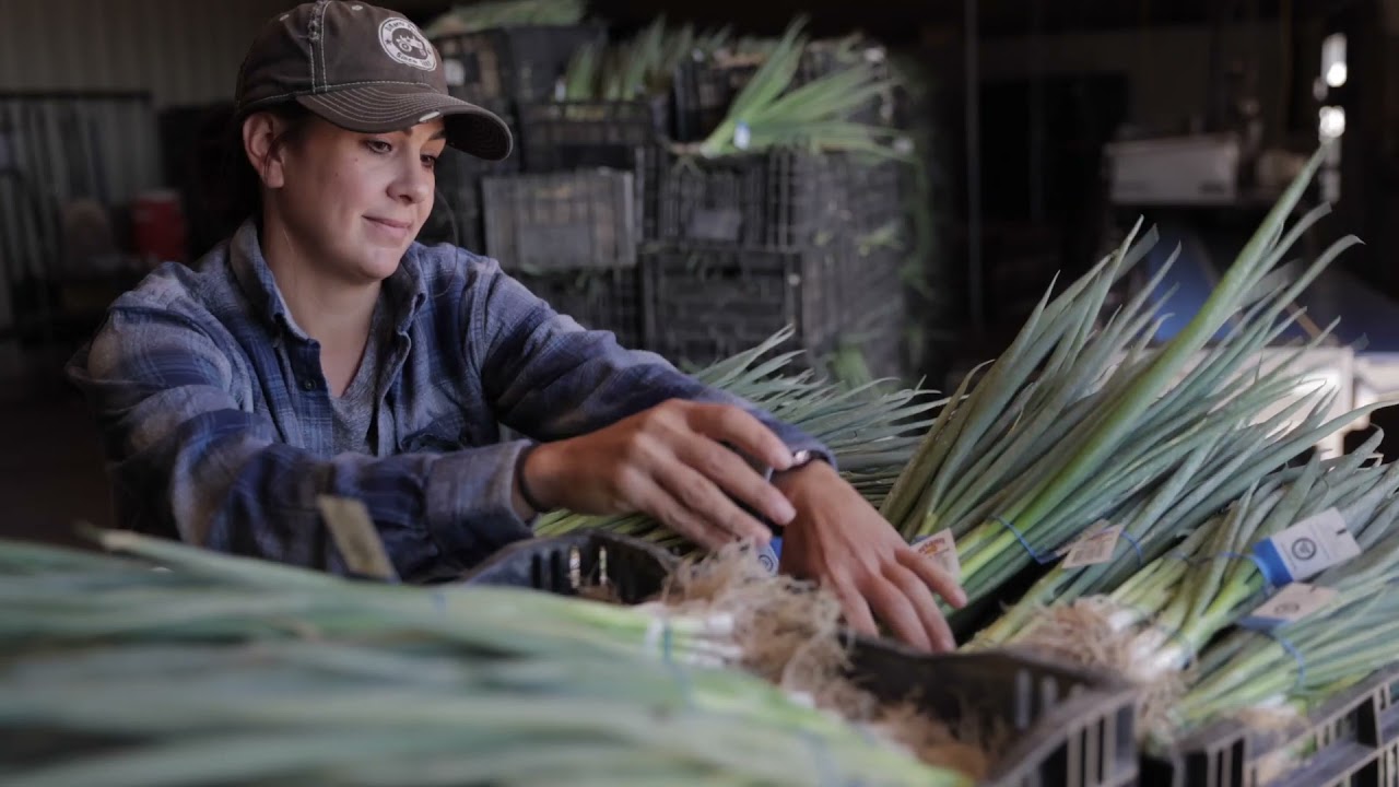 Evergreen Spot - 30 secs