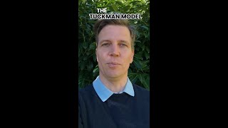 Why Your Team Is Stuck (And How to Fix It With Tuckman's Model)