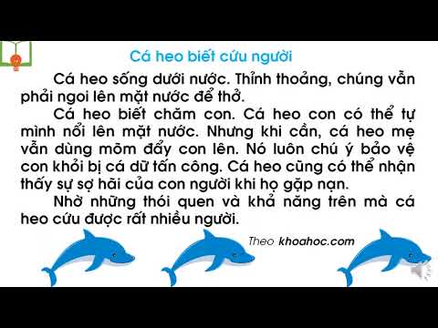 Video Lớp 1-Tập đọc- Cá heo biết cứu người. - youtube