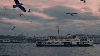 Ah Kavaklar - Dünyadan Sesler