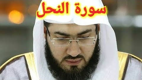 16- سورة النحل كاملة بصوت القارئ بندر بليلة