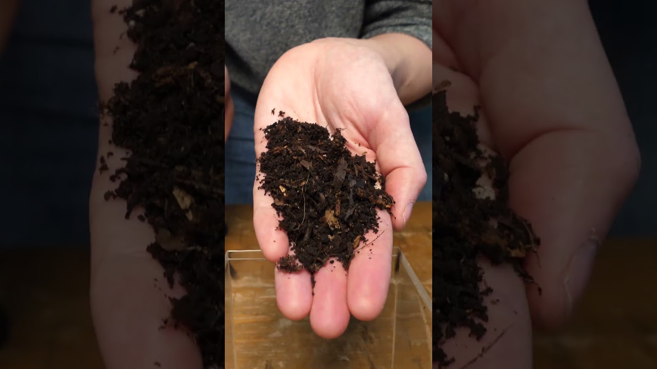 how to make a terrarium in a lava lamp