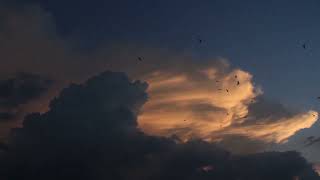 The Silence Of The Blue Sky - Flying Above And Over The Clouds #Relaxing music screenshot 4