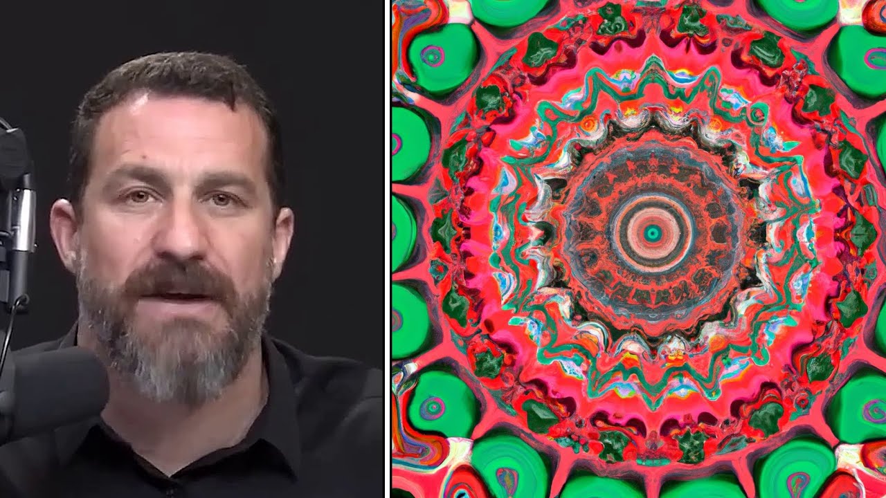 Can You Abstain from Addictive Thoughts? Huberman Clips YouTube