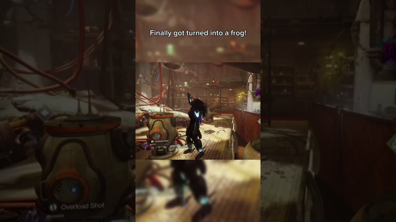 Destiny 2 meme (part 104)