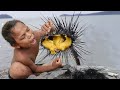 Primitive Technology: Find and Catch Urchin in Ocean - Survival Skills: Urchin Eating Raw
