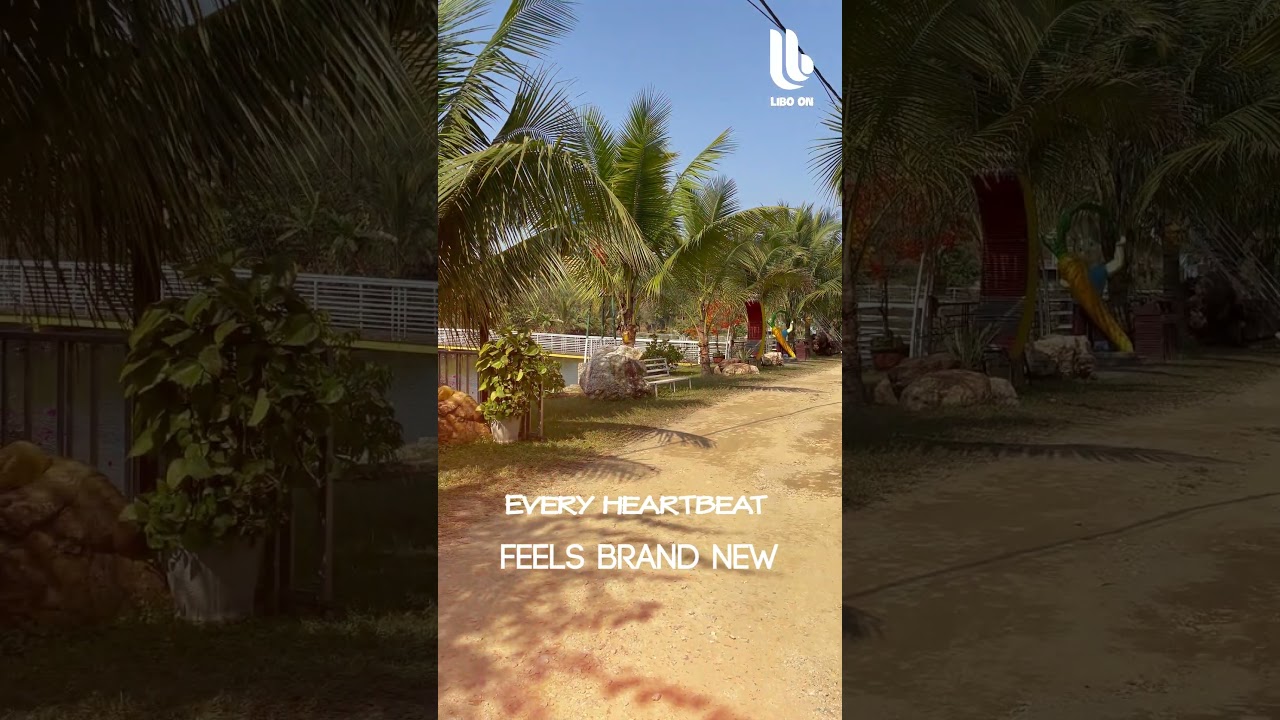 Daddy's Home song | Fires of Us - Libo On