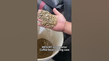 The boss said he was very satisfied with the coffee bean sorting results