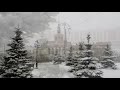 Майский снегопад в Петрозаводске