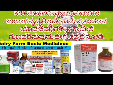 ಕುರಿ ಮತ್ತು ಮೇಕೆಗಳಿಗೆ ಸಣ್ಣ ಪುಟ್ಟ ಕಾಯಿಲೆಗೆ ಯಾವ ಯಾವ ಔಷಧಿ ಮತ್ತು ಯಾವ ತರ ಹೇಗೆ ನೀಡಬೇಕು. ಅನ್ನೋದನ ತಪ್ಪದೆ ನೋಡಿ