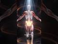 Unlock the Secret to Your Flexibility: Hip Joint Anatomy Explained#trending #anatomy #physio #viral