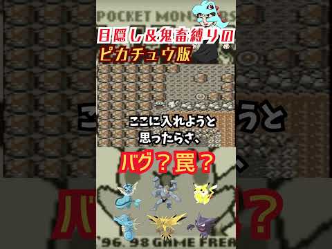 地味すぎる目隠し対策ｗｗｗｗ【目隠しポケモン】