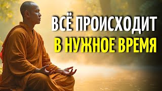 видео: ЭТО ПРОИЗОЙДЁТ, КОГДА ТЫ БУДЕШЬ ГОТОВ | 5 Уроков Буддийской Мудрости картинка: ЭТО ПРОИЗОЙДЁТ, КОГДА ТЫ БУДЕШЬ ГОТОВ | 5 Уроков Буддийской Мудрости