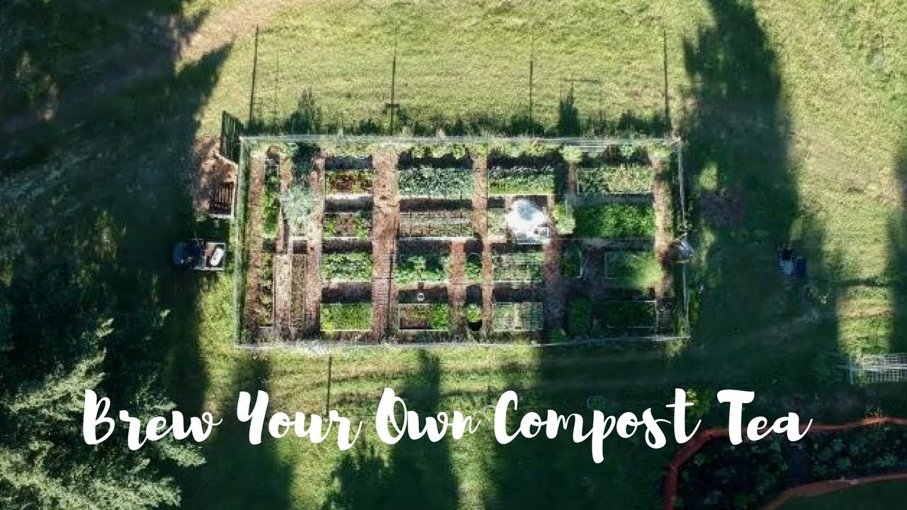 How To Brew and Apply Compost Tea YouTube