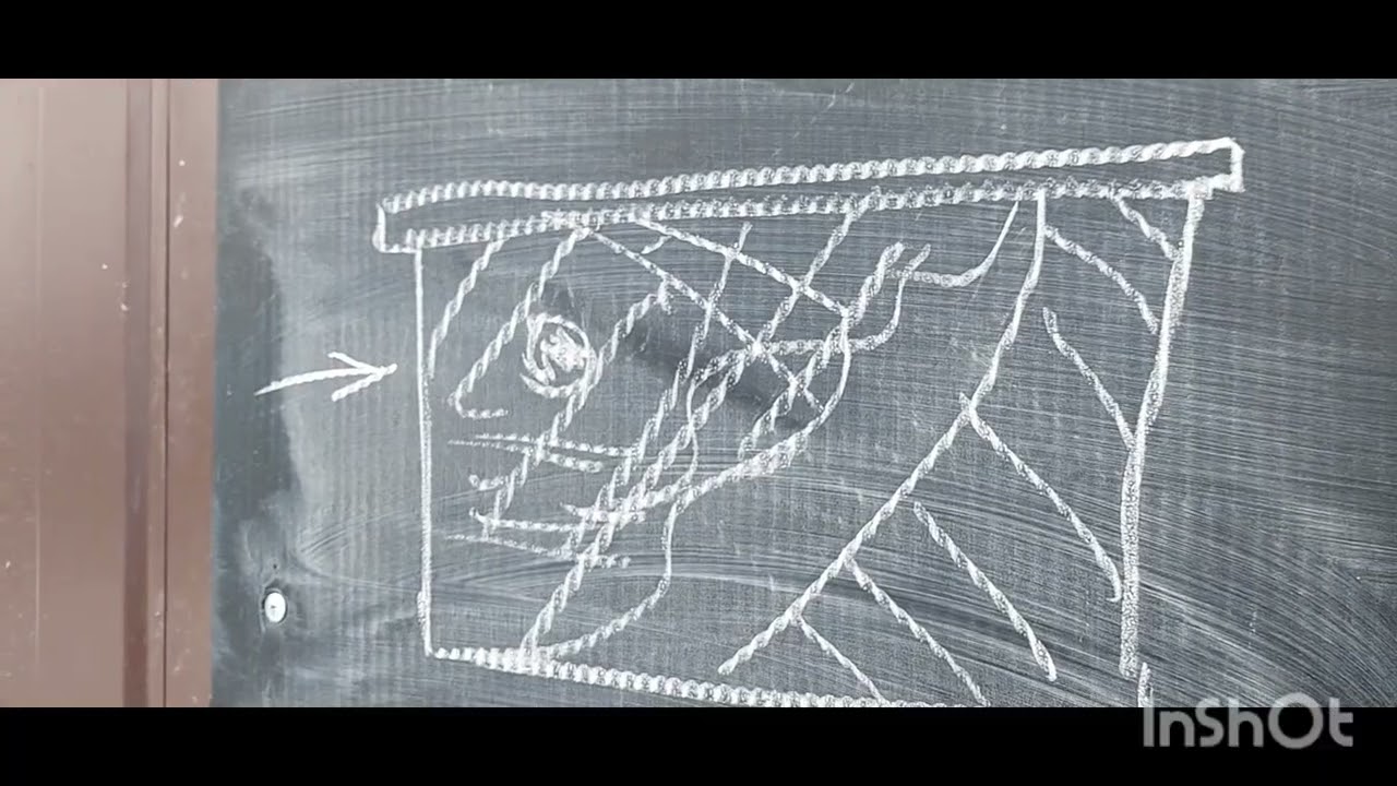 6 марта 2026 г.