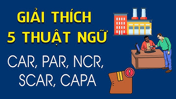 ĐÀO TẠO ISO9001: Giải thích 5 thuật ngữ khắc phục phổ biến CAR-PAR-CAPA-NCR-SCAR - Lalaplus