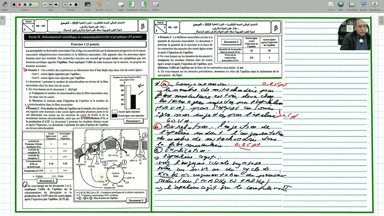 exercice 1svt  (2bac option svt) examen svt session normale 2025