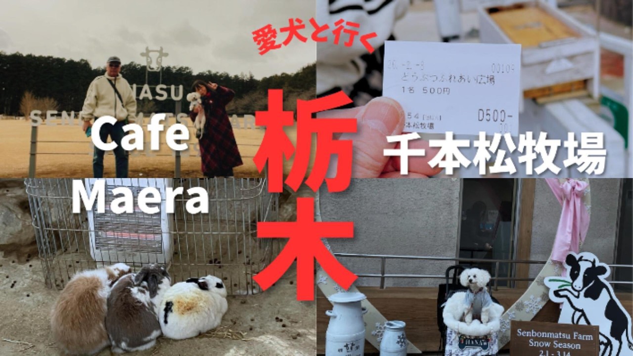 愛犬と行く那須旅行