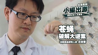 《生活映像 - 法医昆虫学》