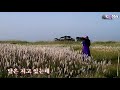 숨어 우는 바람소리 전유진 숨어 우는 바람소리 전유진
