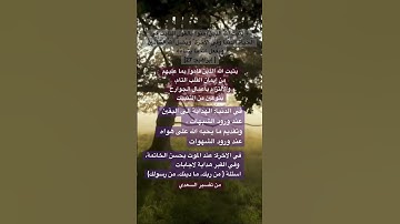 #رمضان #المصحف #سورة #القرآن_الكريم #سورة_ابراهيم #رمضان_2025 #قران_كريم