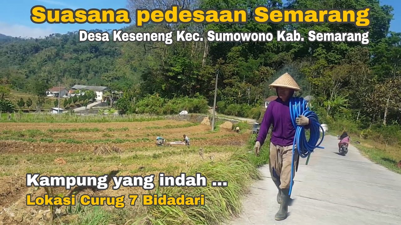 kampung yang indah bikin betah | suasana pedesaan jawa tengah | pedesaan semarang | desa keseneng