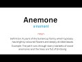 How to pronounce Anemone - Vocab Daily