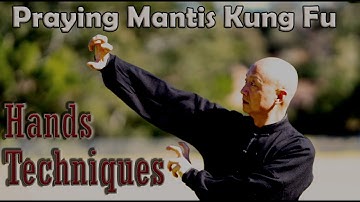 Kung Fu training at home 2020 for beginners: Shaolin Praying Mantis Kung Fu – Hands techniques