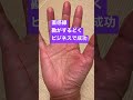 直感線と呼ばれる手相です。勘がするどく物事の本質がわかり、ビジネスでも成功します