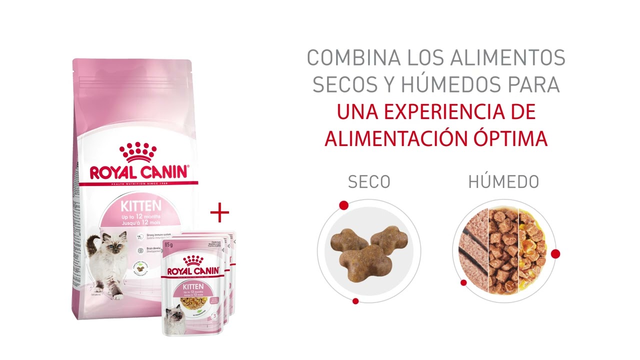 Royal Canin Kitten