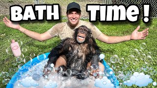 Baby Chimpanzee Gets A Bubble Bath ! What Happens ?!