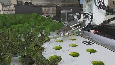 Farm run entirely by robots