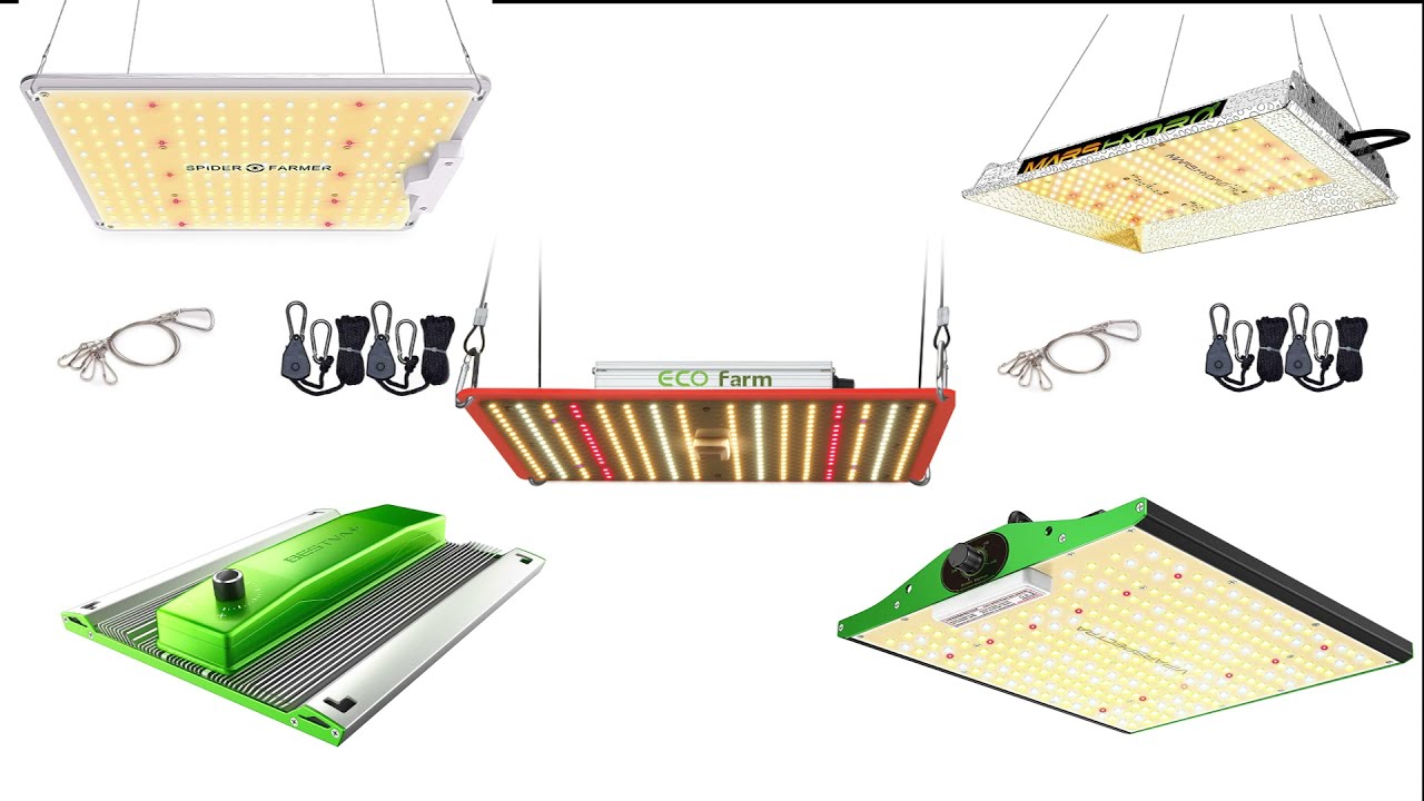 Best LED Light For 2x2 Grow Tent 2021, ViparSpectra, ECO Farm