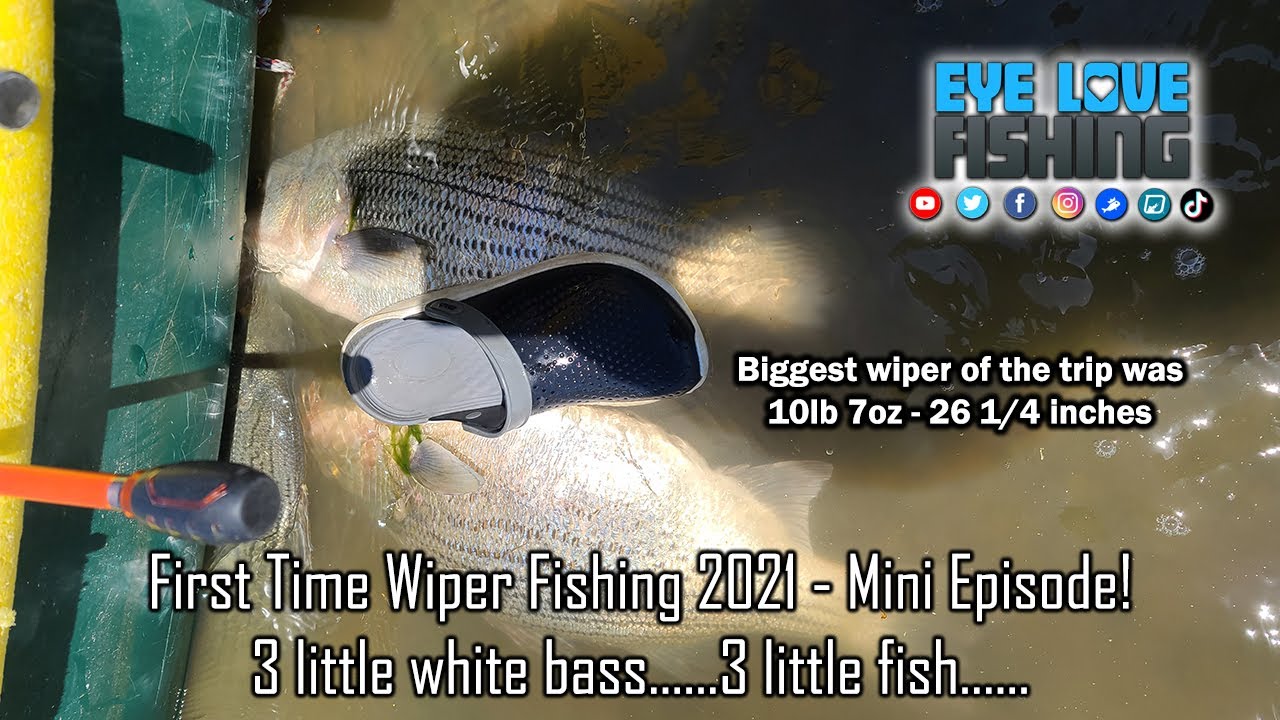 First Time Wiper Fishing 2021 Mini Episode! EYELOVEFISHING WIPERS