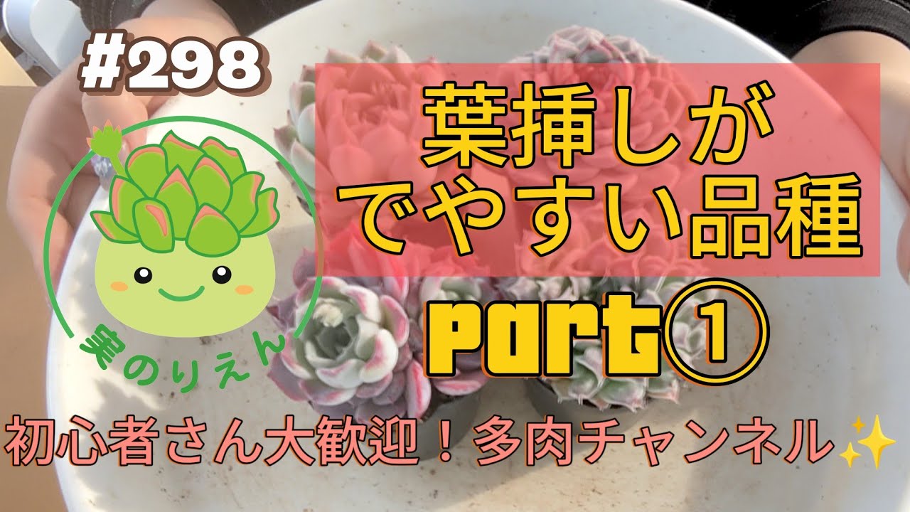 298 葉挿しがでやすい品種、Part1 - YouTube