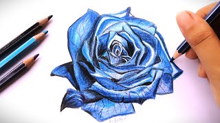 Rose Drawing ! Blue Rose! How to draw a Rose step by step? #art #rose #drawing #how #painting #blue