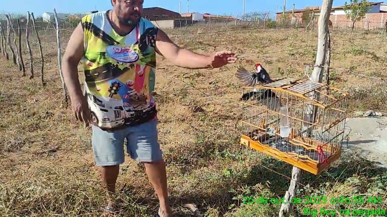 26 de outubro de 2025