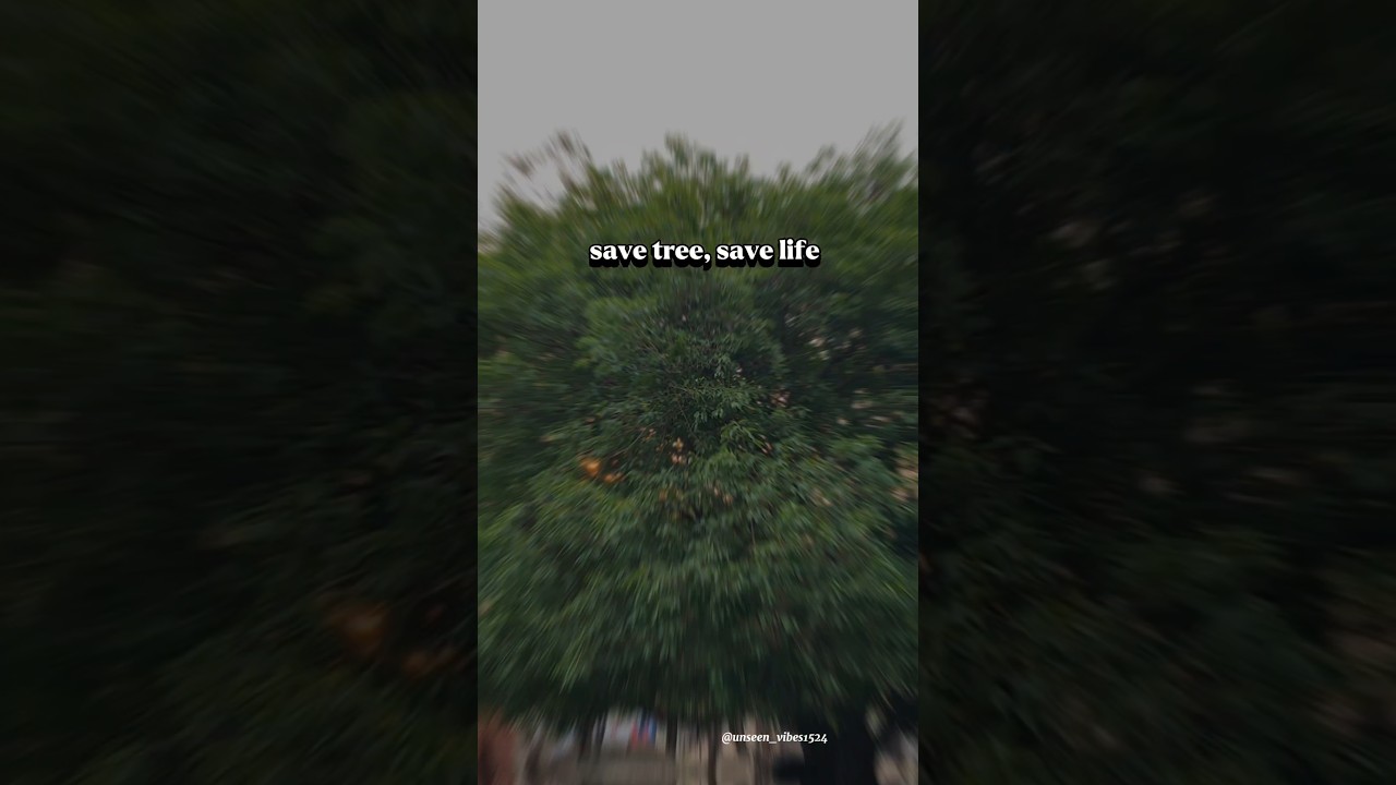 Save tree save life 