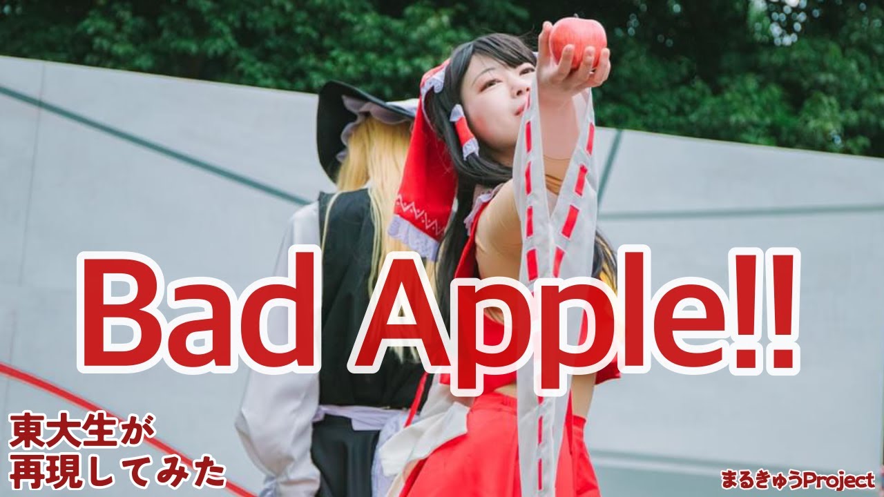 【東大生が】Bad Apple!! 【再現してみた】