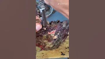 Выращивание жемчужин