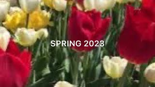 Exploring the Vibrant Spring Festival 2023 🌹at Burnside Farms in Virginia, USA |