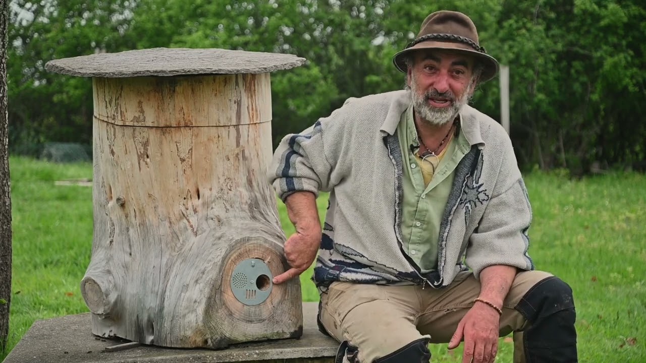 stage réalisation d'une ruche tronc